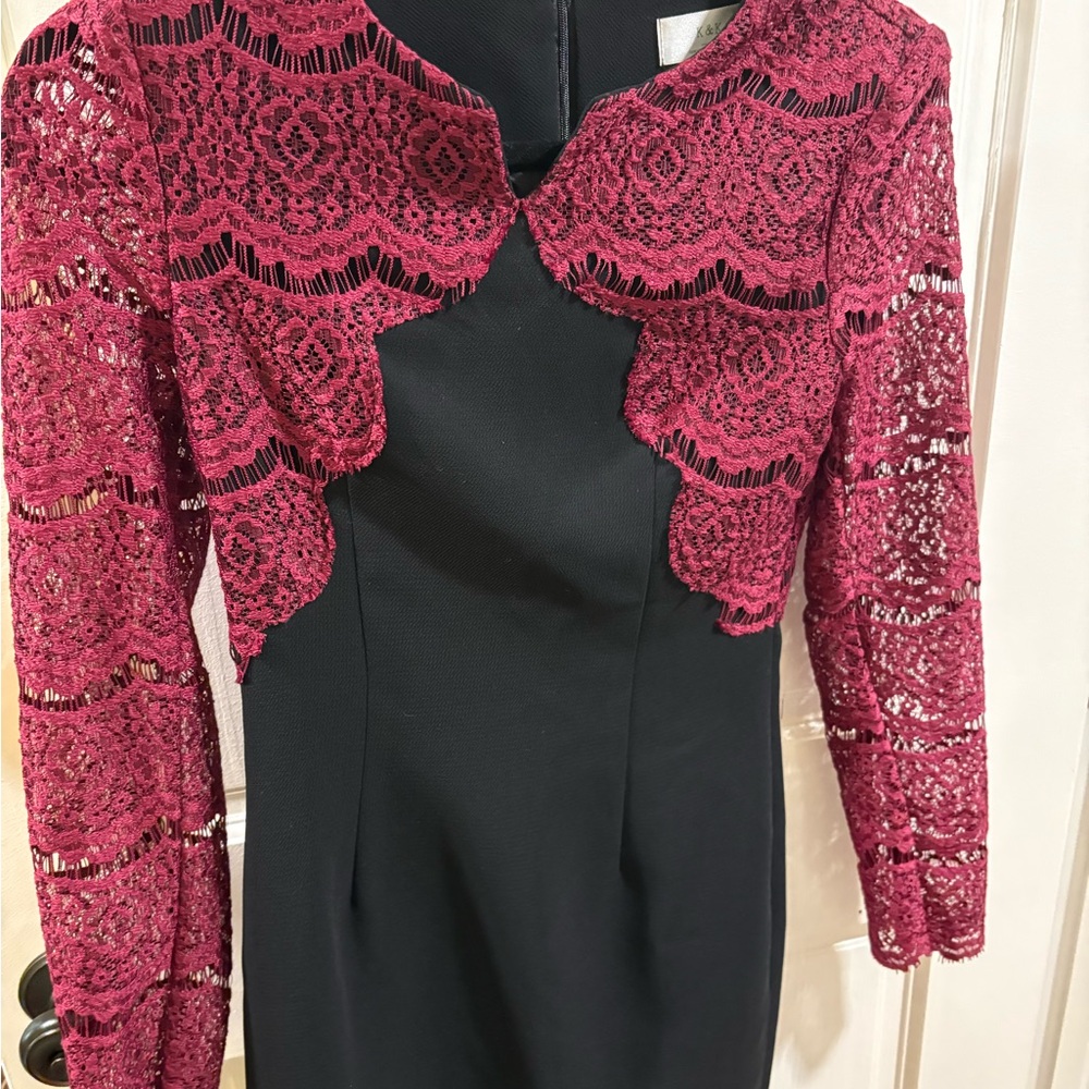 Elegant Lace Overlay Black and Pink Dress